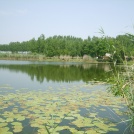 Papic jezero